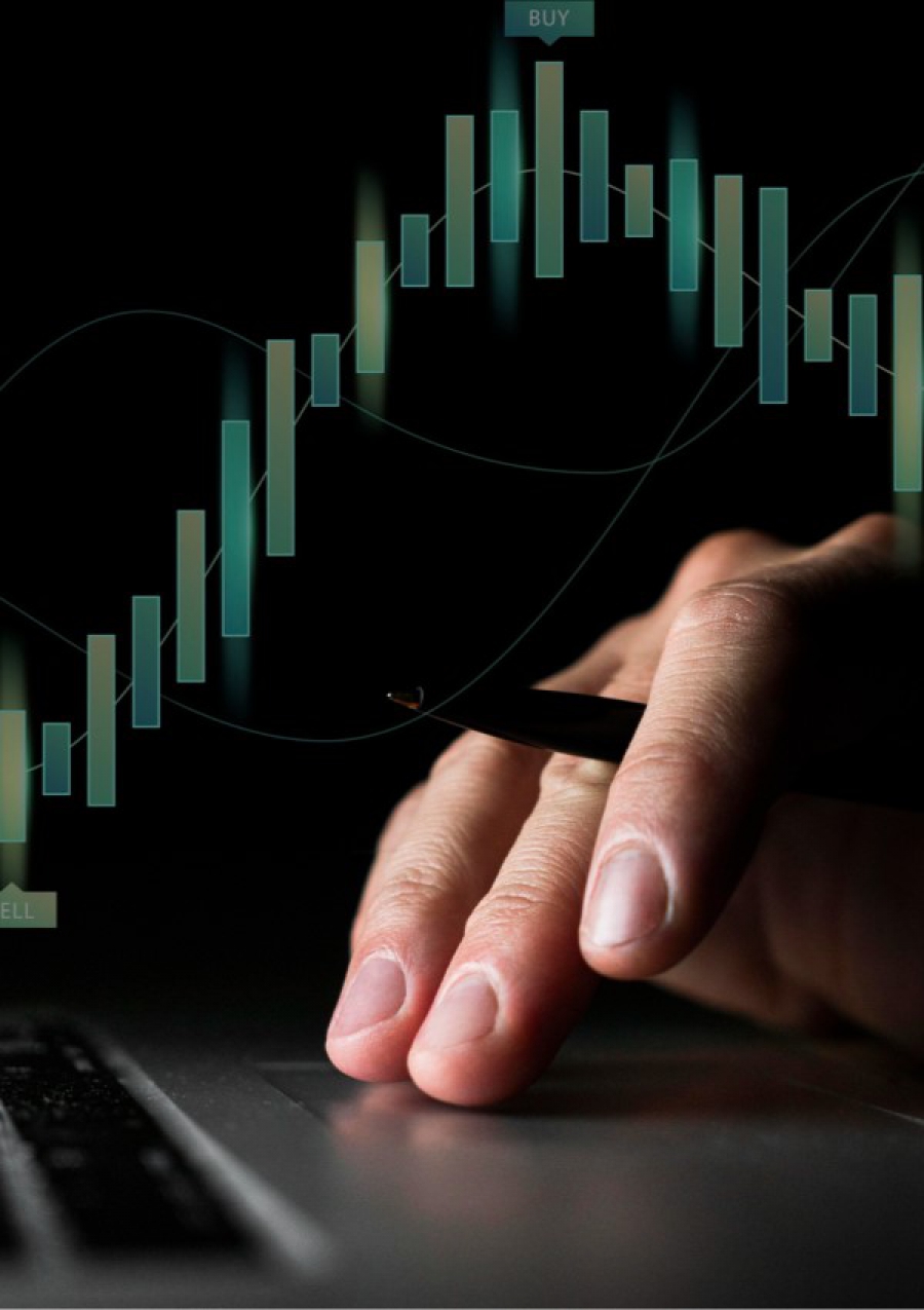 Market Expansion & Consultancy